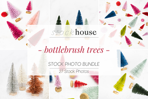 Bottlebrush Trees Styled Stock Bundl