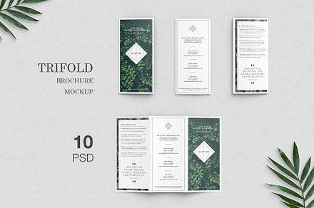 Trifold Brochure Mockups, a Print Template by simuradi