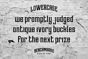 Benchmark2, a Serif Font by Alphabet Agency (Thumbnail 2 of 5)
