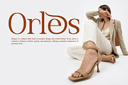 Norvele Modern Luxury Serif Font, a Serif Font by Rasio Studio (Thumbnail 6 of 11)