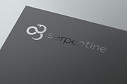 Serpentine Logo, a Branding & Logo Template by GLXY (Thumbnail 3 of 4)