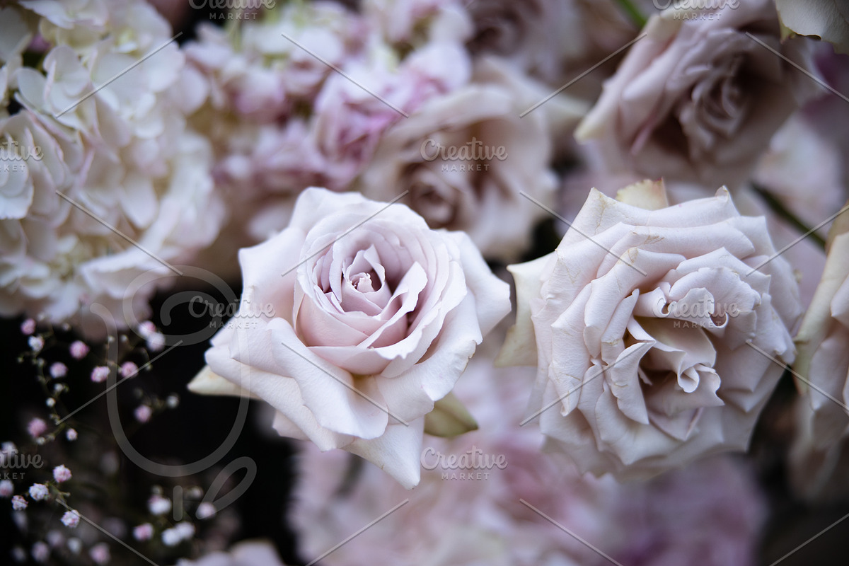 A Garden of Roses | Wedding, Events, a Nature Photo by Farewell (Photo 21 of 41)