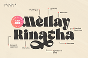 Qitella Modern Stylist Font, a Serif Font by zeenesia (Thumbnail 2 of 15)