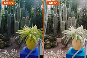 Morocco Lightroom Presets, a Preset Add-On by Wethepresets (Thumbnail 5 of 6)