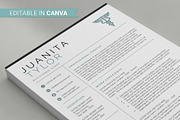 Nurse Resume Template Canva, a Resume Template by DesignDevisers (Thumbnail 5 of 13)