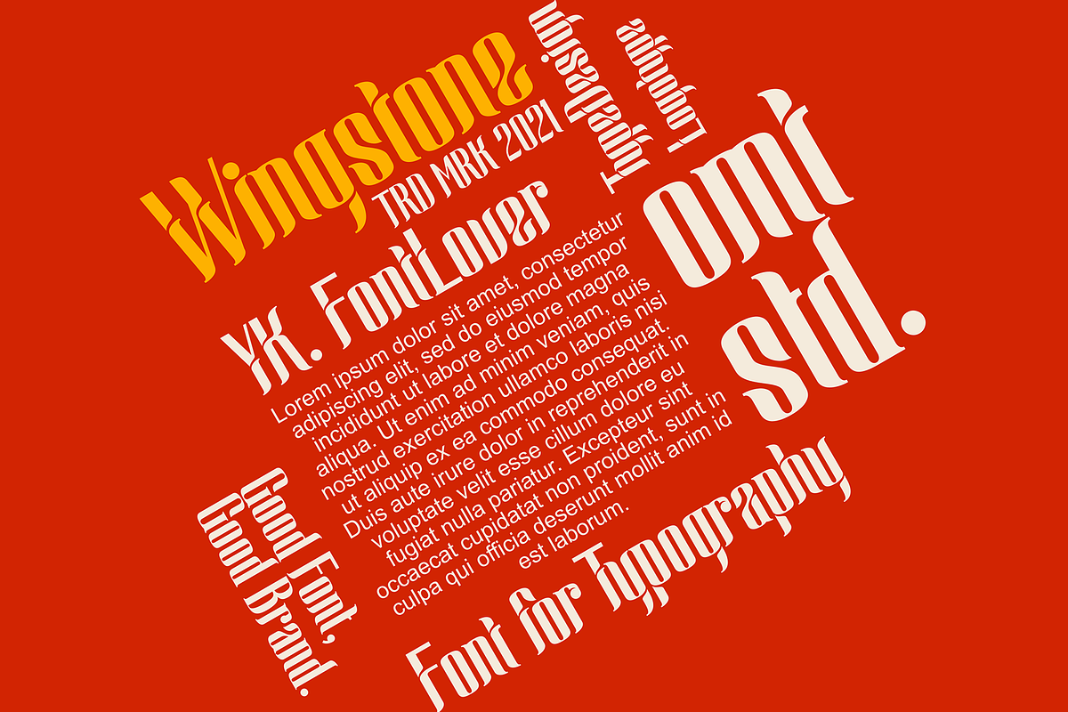 Wingstone, a Sans Serif Font by Omotu Studio (Photo 7 of 12)