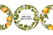 Orange Branches. Watrecolor PNG, an Illustration by OlyaGutArt (Thumbnail 5 of 6)