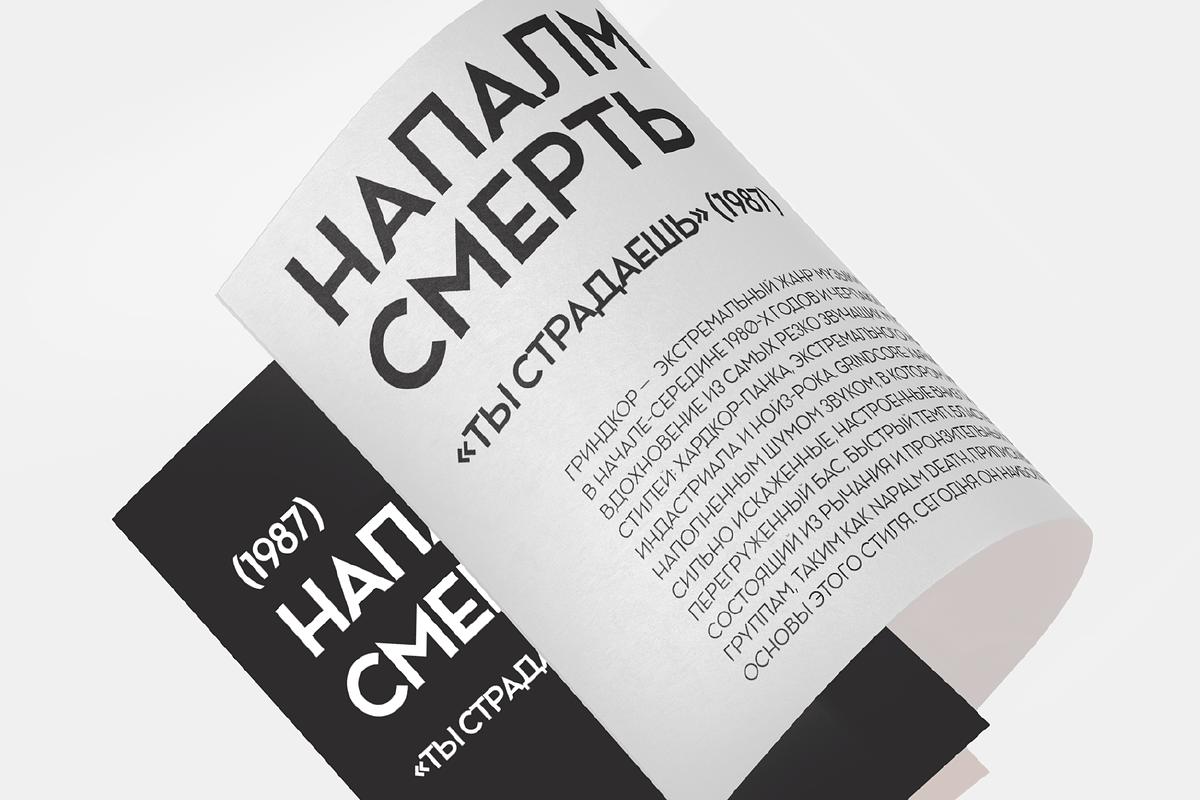 Ace Sans Variable Font, a Sans Serif Font by FactoryType Studio (Photo 10 of 11)