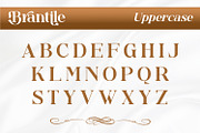 Brantile - Modern Serif Display Font, a Serif Font by Rishsketch (Thumbnail 8 of 14)