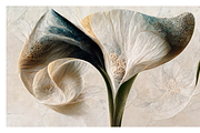 Lily Collection · Calla Lily Flowers, a Decorative Illustration by milatovar (Thumbnail 8 of 16)