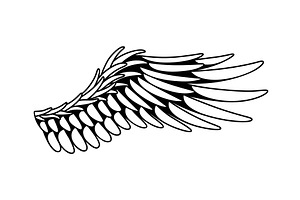 Wings sketch. Stylized birds, an Object Illustration by Things for designers