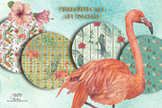 Tropical Jungle, an Animal Illustration by patriziamoscone (Thumbnail 4 of 4)