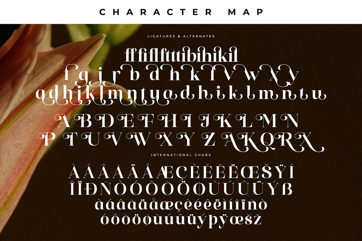 Florilst Realik Modern Serif Font, a Serif Font by Storytype Studio (Photo 14 of 15)