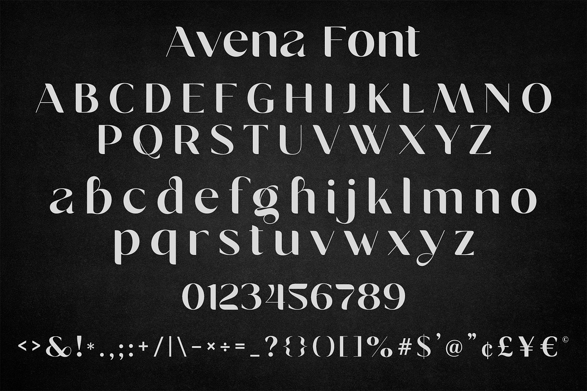 Avena - Modern Editorial Serif Font, a Serif Font by OWPictures (Photo 12 of 12)