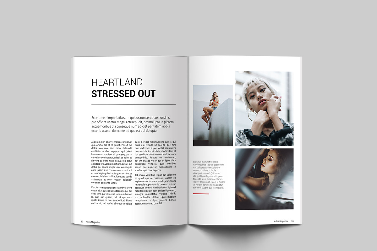 Multipurpose Magazine, a Magazine Template by BoriesBechker (Photo 13 of 17)