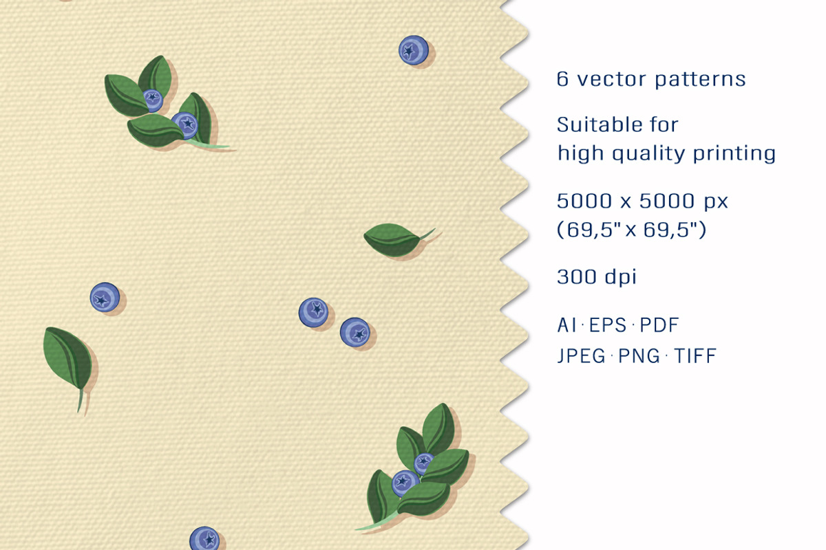 Blueberry sprigs - Set patterns, a Pattern Graphic by Yummy (Photo 2 of 9)