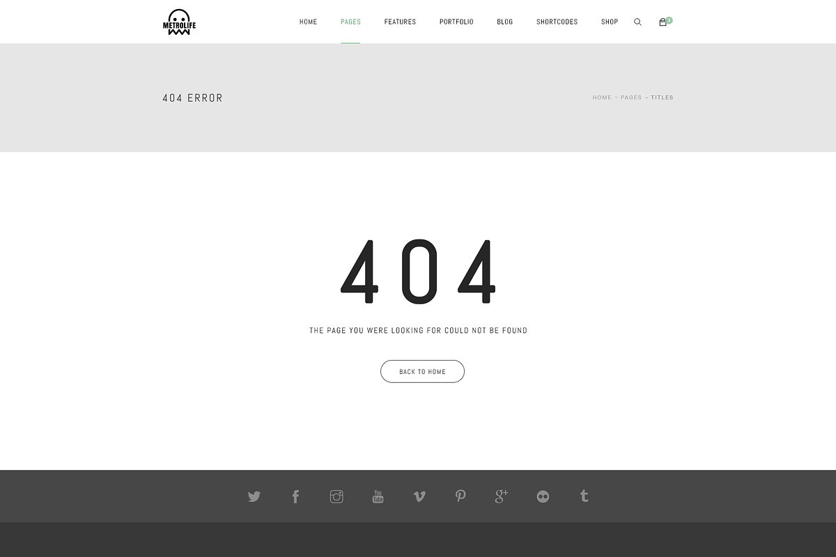Metrolife Multipurpose PSD Template, a Websites & App Template by bigpsfan's SHOP (Photo 20 of 20)