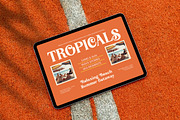 Broken Relent Decorative Serif, a Serif Font by timelesstype.co (Thumbnail 5 of 20)