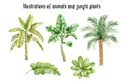 Jungles watercolor clip art, an Animal Illustration by Eves_Aquadreams (Thumbnail 4 of 12)