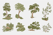 Woodland, a Decorative Illustration by olga.korneeva (Thumbnail 2 of 12)