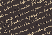 Aittemia Seikage a Handwritten Font, a Handwritten Font by Basnistudio (Thumbnail 4 of 12)