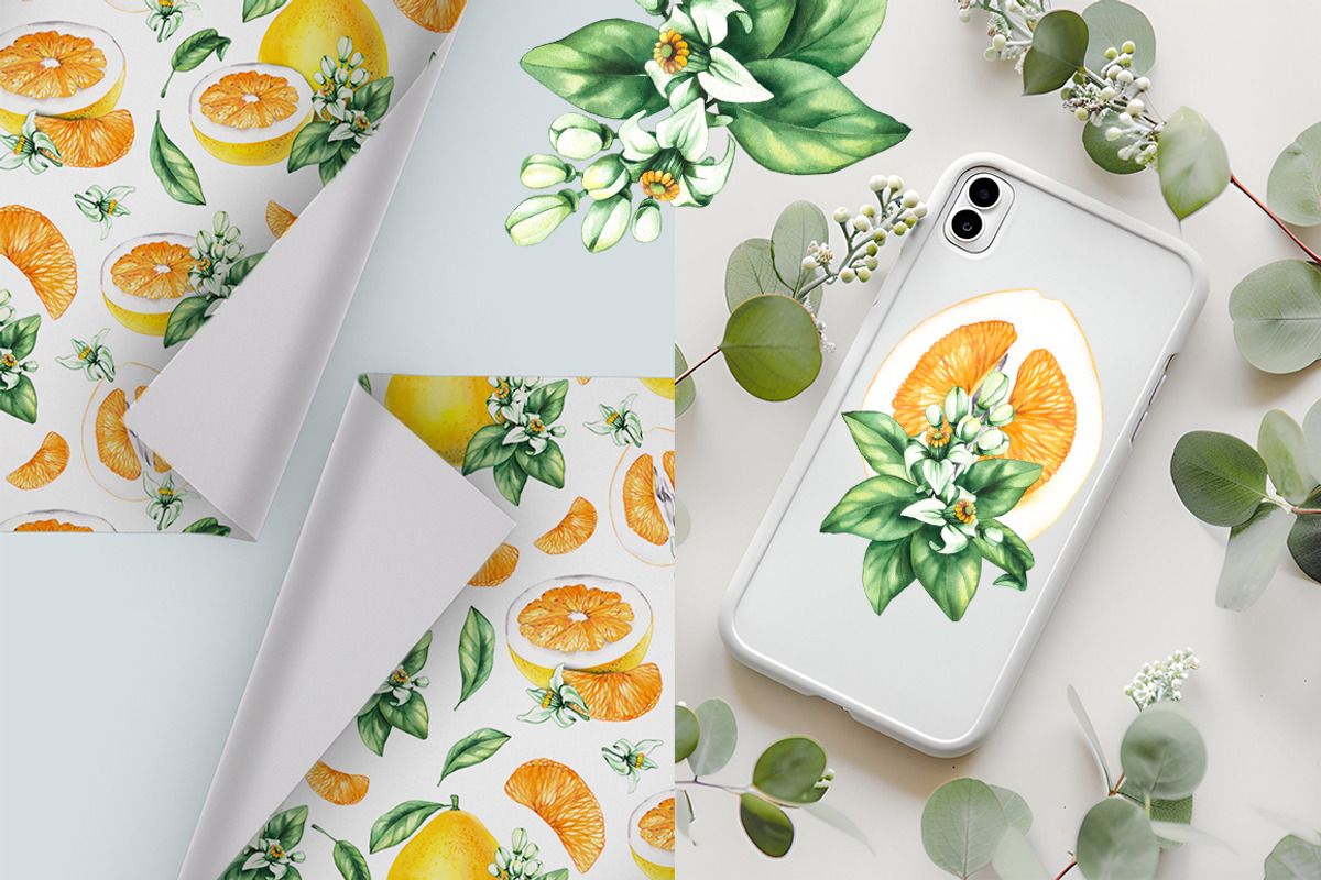 Pomelo Fruit Watercolor Collection, a Food Illustration by SashaKondr (Photo 7 of 13)