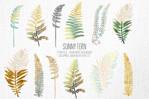 Sunny Fern Collection