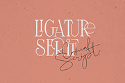 SALE! Maturation Typeface - font duo, a Serif Font by VP Fonts (Thumbnail 8 of 16)