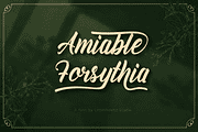 Amiable Forsythia Font, a Script Font by Letterhanna Studio (Thumbnail 1 of 19)