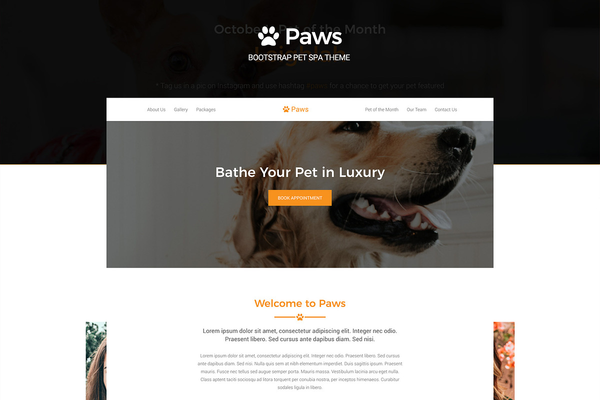 Paws - Bootstrap Pet Spa Theme, a Bootstrap Template by HH Themes
