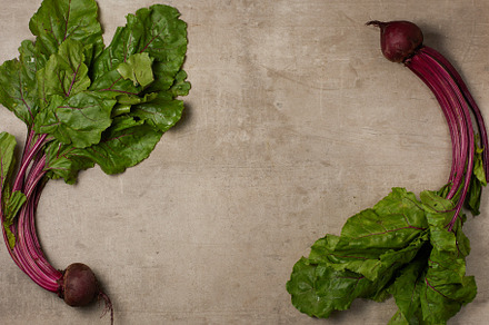 autumn flat lay with beetroot, an Abstract Photo by Alliance Images