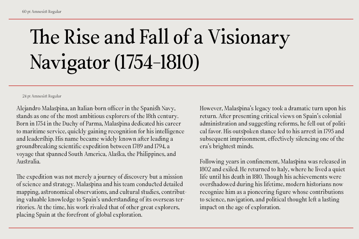 Amnesist | 12 Fonts, a Serif Font by Skinny Type (Photo 9 of 12)