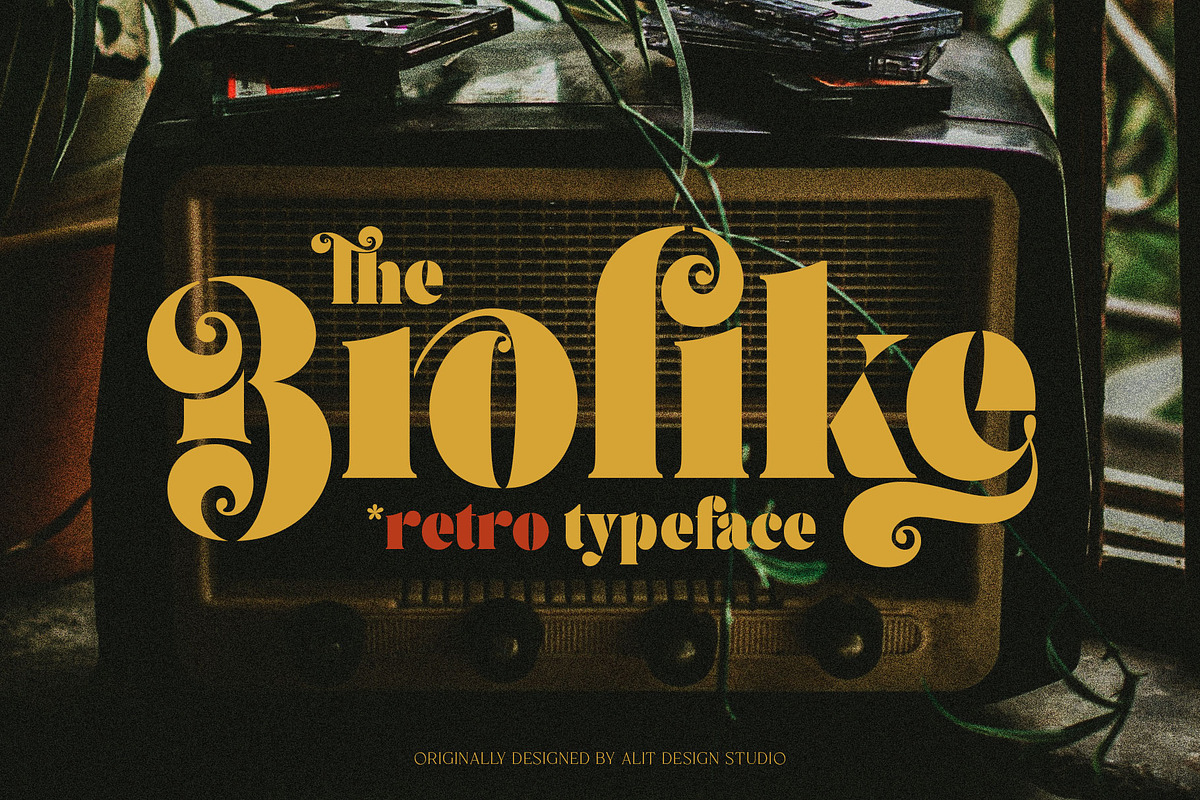 Brolike Typeface, a Serif Font by alit design (Photo 1 of 18)