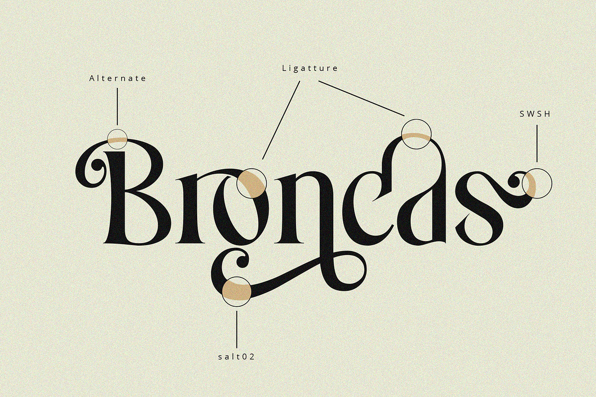 Costa Nova || display Ligature serif, a Serif Font by ToniStudio (Photo 2 of 12)