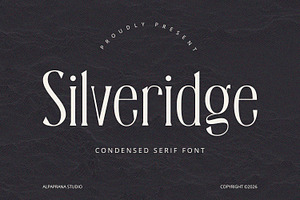 Silveridge - Serif Font