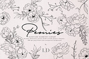Peonies Hand Draw, an Illustration by Luiz da Rolt Grathwohl (Thumbnail 1 of 8)