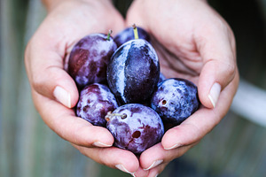 Plums stock photo containing plum and fruit
