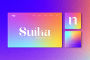 Suika a Modern / Vintage Font, a Serif Font by Lettertype Studio (Thumbnail 10 of 15)