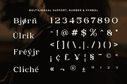 Briska - Modern Ligature Serif, a Serif Font by RagamKata (Thumbnail 10 of 10)