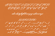 Climbing Nature Modern Calligraphy, a Script Font by Letterena Studios Script (Thumbnail 13 of 15)