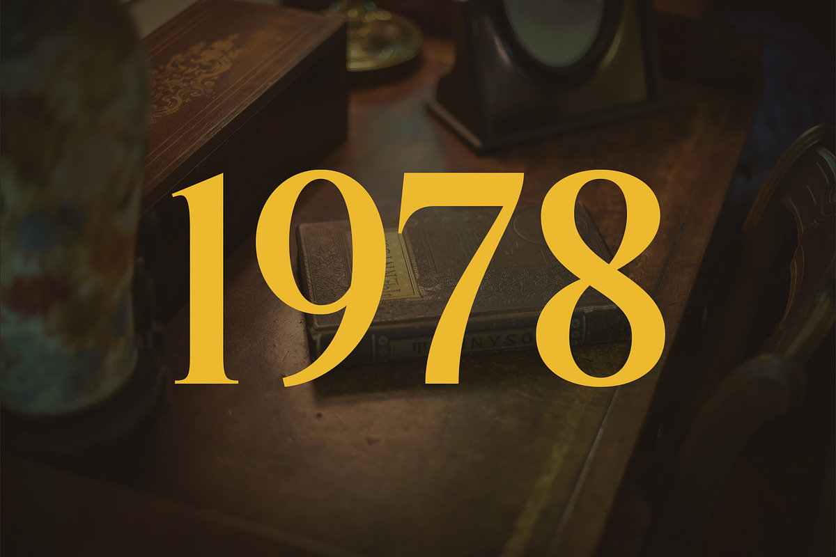 Glevora - Elegant Serif Family, a Serif Font by Youthlabs Studio (Photo 14 of 18)