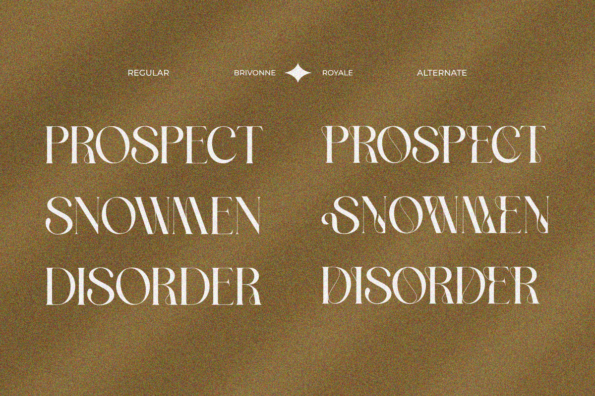Brivonne Royale, a Serif Font by zaaintype (Photo 4 of 12)