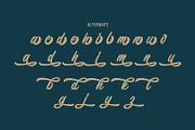 Throughout - Stylist Script Font, a Script Font by Arendxstudio (Thumbnail 9 of 9)