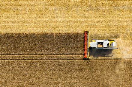 Agriculture. View from the air, an Industrial Photo by Landscape and travel