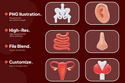 Human Organ Icon Pack, an Object 3D Model by novia99design (Thumbnail 2 of 8)