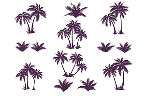 Set Of Silhouettes Of Palm Trees