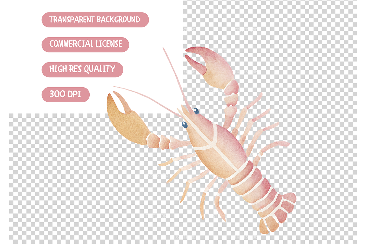 Watercolor Coquette Summer Clipart, an Illustration by TatiMockup (Photo 5 of 5)