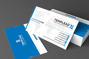 Corporate Business Card SE0203