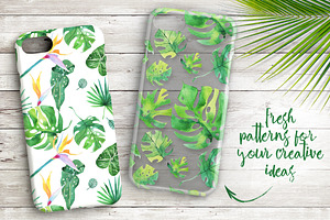 Tropical Paradise Watercolor Set