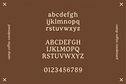 CAMP COFFEE by Abby Leighton, a Serif Font by Abby Leighton Studio (Thumbnail 3 of 4)